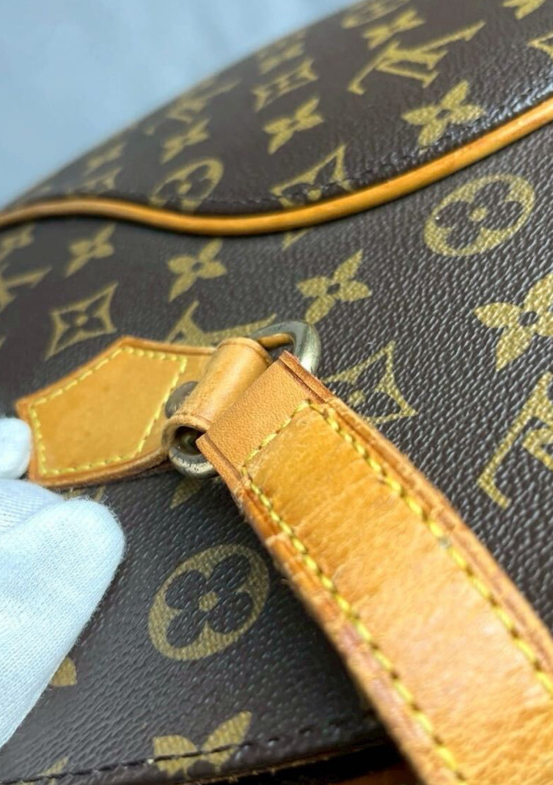 Louis Vuitton Monogram Ellipse GM Shopping Bag