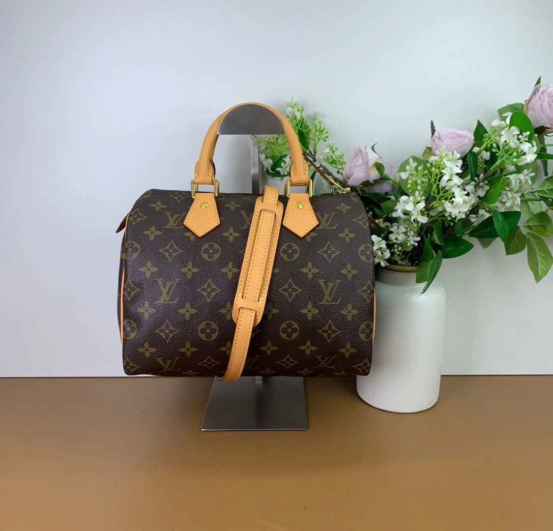 Louis Vuitton Speedy 25 Excellent Condition