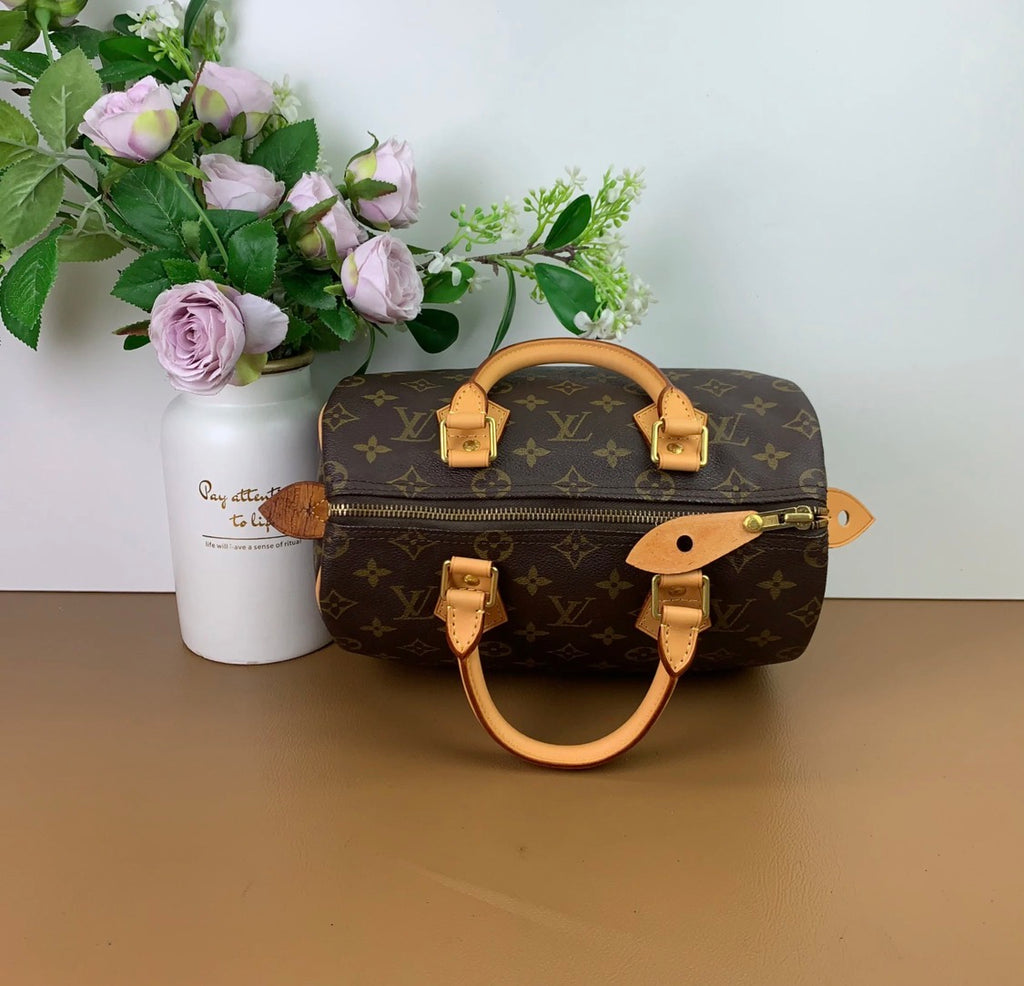 Louis Vuitton Speedy 25 Excellent Condition