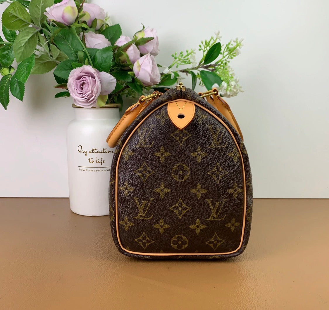 Louis Vuitton Speedy 25 Excellent Condition