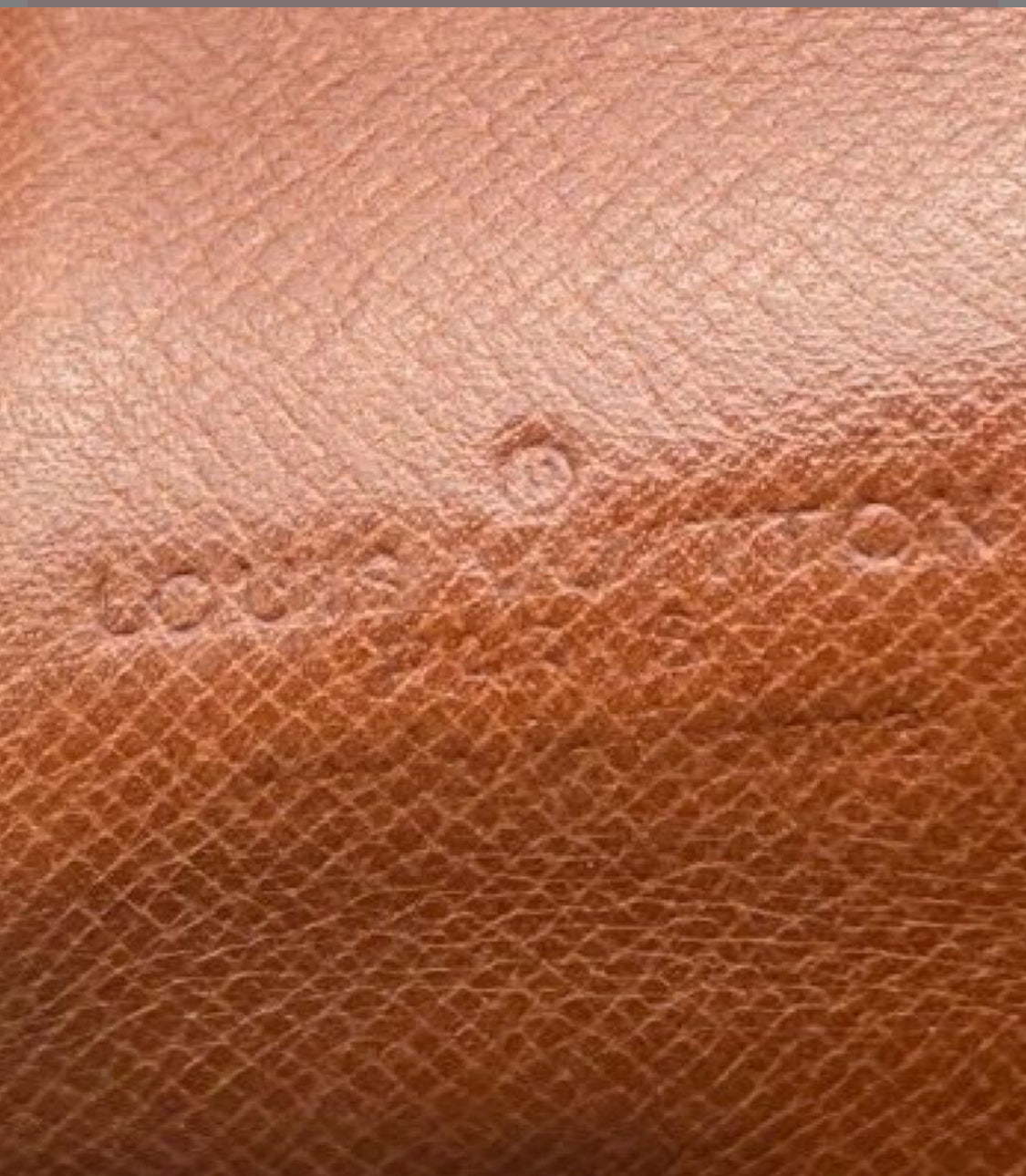 LOUIS VUITTON Dauphine shoulder bag